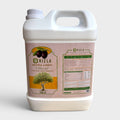 Cooking Olive Oil 5-Litres